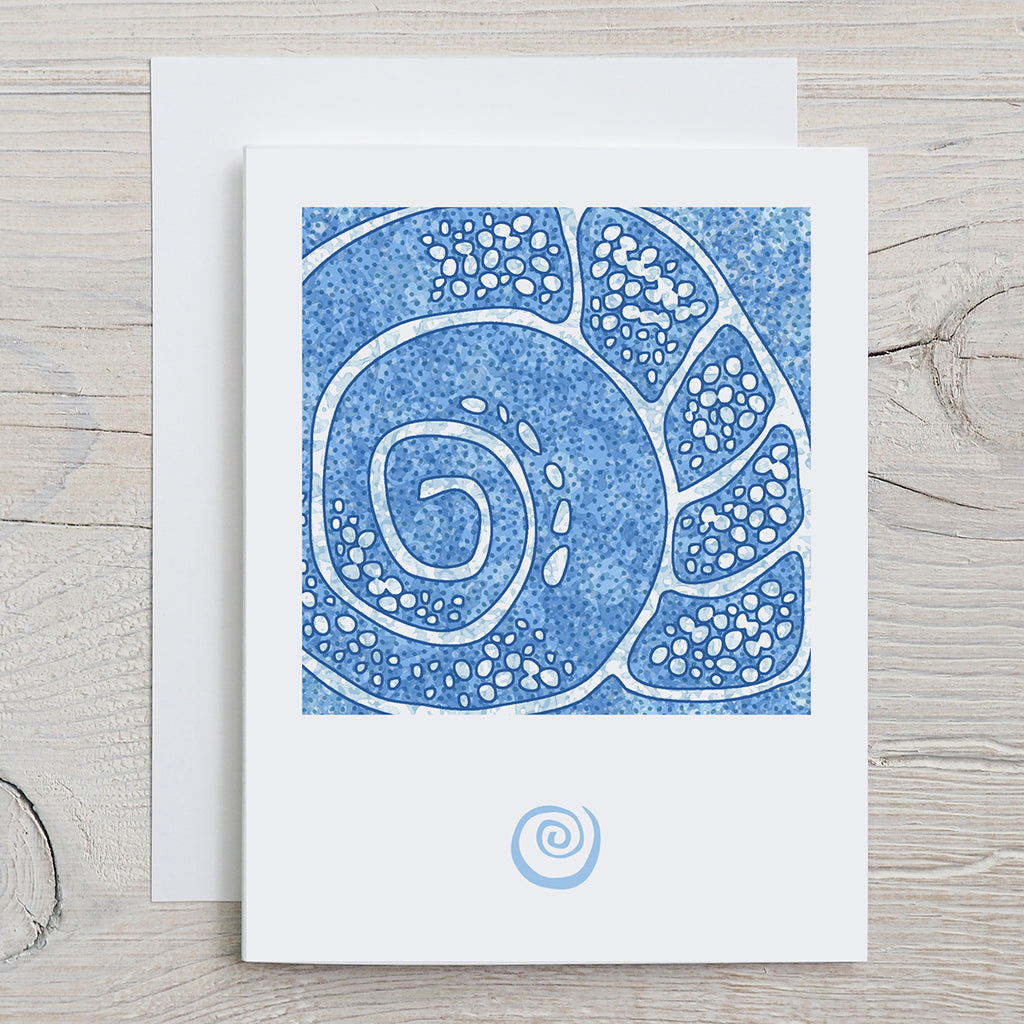 KatCo Creations Greeting card with blue and white spiral sea snail design on a textured background